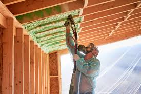 Best Blown-In Insulation  in Harlem Heights, FL