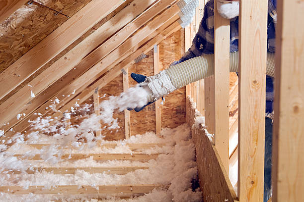 Best Insulation Air Sealing  in Harlem Heights, FL